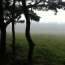 전제만목장 이미지