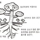 [책] 수목진단_이식식재법 이미지