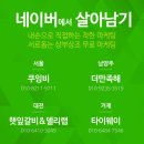 황금비타민