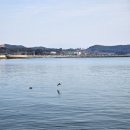나드리수산
