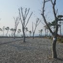 파도와노을캠핑장 이미지