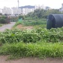 폰땅폰땅공인중개사사무소 | #창원동읍주말농장텃밭농촌체류형쉼터#동읍주택 소매점 사무실물류창고