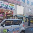 나이스방역