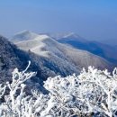 민치과의원 이미지