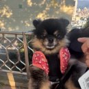 은행나무한의원 | 괜시리 마음이 바빴던 가을의 나날들