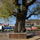 강변쉼터 이미지