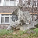 대전신흥초교 이미지