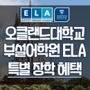 뉴질랜드공무원유학휴직 오클랜드대학교 대학부설어학원 ELA특별 장학혜택