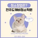 전주도깨비청소학원