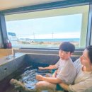 도틀왓 제주 이미지