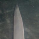 일월돼지꿈꾸는집