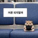 (주)서율주유소(지점) | [26.03.] 쩔쩔 매지 말고 어쩔어쩔로 사세요 🍓