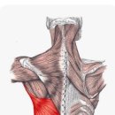 휘트니스 에스온 이미지