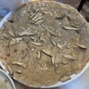 동수원 세무서 앞2 | 감칠맛있게 매콤한 수원 영통역맛집 양푼애등갈비 영통역점 방문후기