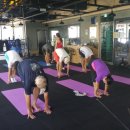 웰빙요가(오전) 이미지