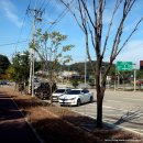 오성산단로 이미지