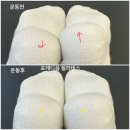 와이제이헬스케어(북구) | 필라테스 vs 헬스, 광주에서 운동 시작할 때 어떤 선택이 좋을까