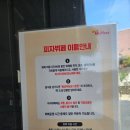 피자뷔페로 유명한 미스터피자, 피자뷔페 말고 새우천왕 피자 먹고온 후기 | 미스터피자 아차산점