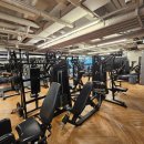 바디스미스 이미지