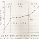 2008년 1월 첫 약초wellbeing모임후기 이미지