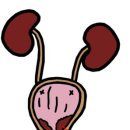 로얄동물외과수술센터