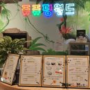 굿타임24 안성공도점 | (쥬쥬핑월드_안성 공도)당나귀를 코앞에서 볼 수 있는 곳이 있다⁉️실내 동물원 방문 후기