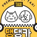 댕댕카 네이버블로그