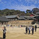 성보교통(주) | 합천 해인사 단풍 여행 후기 [2탄] - 해인사 사찰 내부/포토 스팟/여행 꿀팁