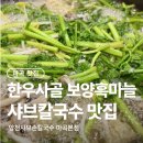 서울식물원 맛집 양천샤브손칼국수 아이와 방문 후기
