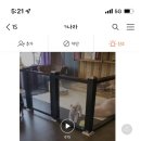 리트그룸 이미지