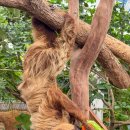 태형목장 이미지