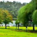 북서울꿈의숲 이미지