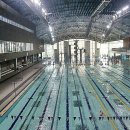 고양체육관 수영장 이미지