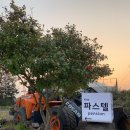 더 파스텔펜션 이미지