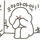 타마타마 하이볼