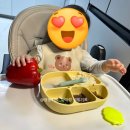 아띠솔루션 | 밥태기 솔루션 체크리스트 (진짜 효과 본 방법들 총정리)