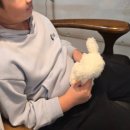 양과자와 커피파는집 | 실내데이트추천 부산 고양이 카페 커피파는 집사 방문후기