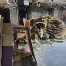 베테랑노래연습장 이미지