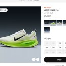 1080 | 뉴발란스 1080v14 리뷰(100킬로 후기)