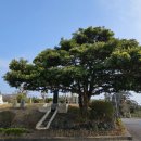 화순리마을회관 이미지