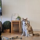 하리 민박 이미지