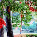 마두공원 이미지