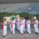 용인대 장안 태권도 이미지