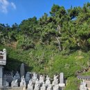 동해파크장 이미지