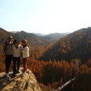 장태산휴양림 이미지