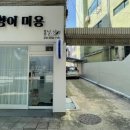 봄날냥 이미지