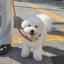 샵 세린파크 이미지