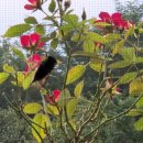 초고속 유턴(공) 이미지