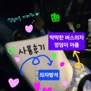 더쎈하임 | 방석으로 버스 운행 시 엉덩이 아픔 최소화 해봤어요 (혹사당한 내 엉덩이를 지켜줘) 내 돈 내산 후기