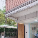 아프리쿠스(apricus)